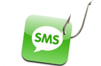 «SMS-опрос» Елены Шульгиной